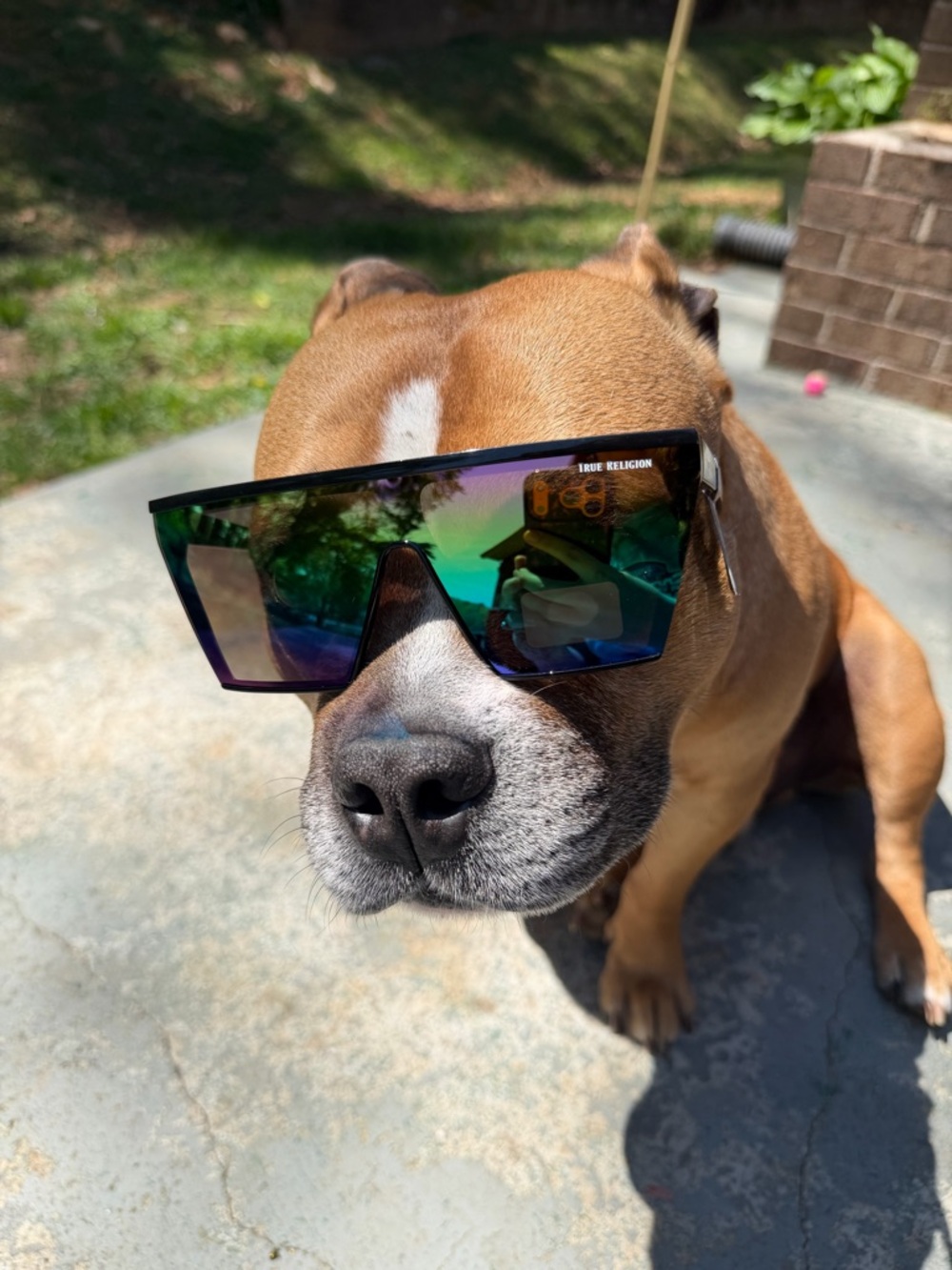 NWT True Religion black oversized sunglasses with rainbow mirror